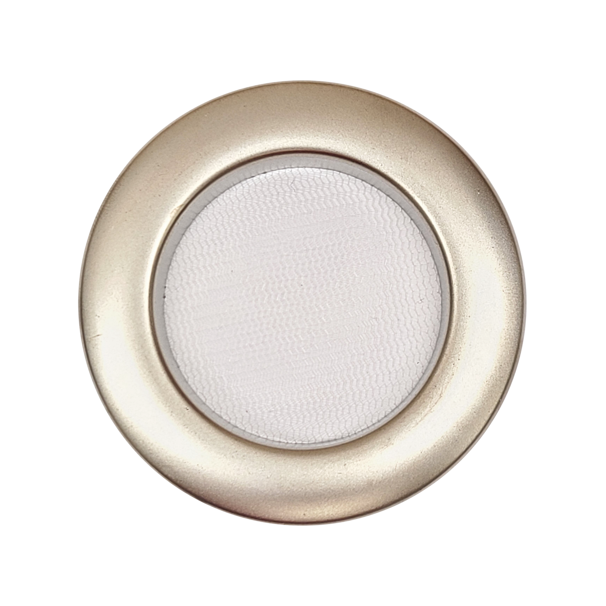 Medium Flat Top 4x4x8 Magnetic Front Opening Jumping Spider Enclosure NEW