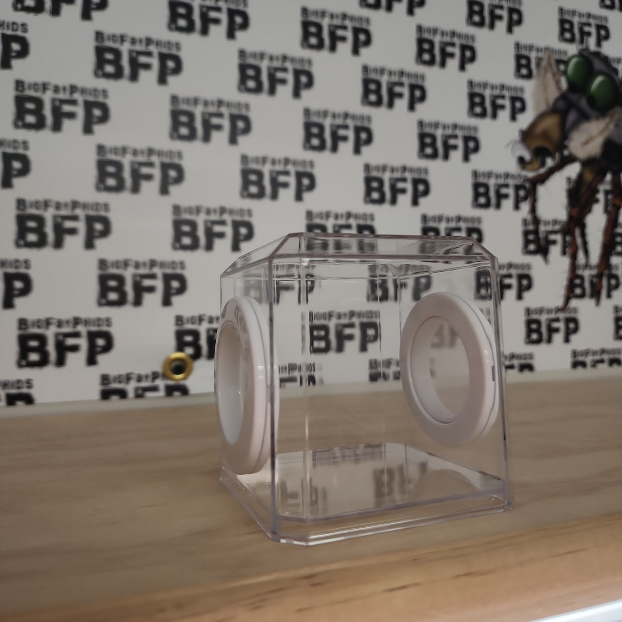 Mini Den Flat Top 3x3x3 Jumping Spider Enclosure (holds fruit flies)