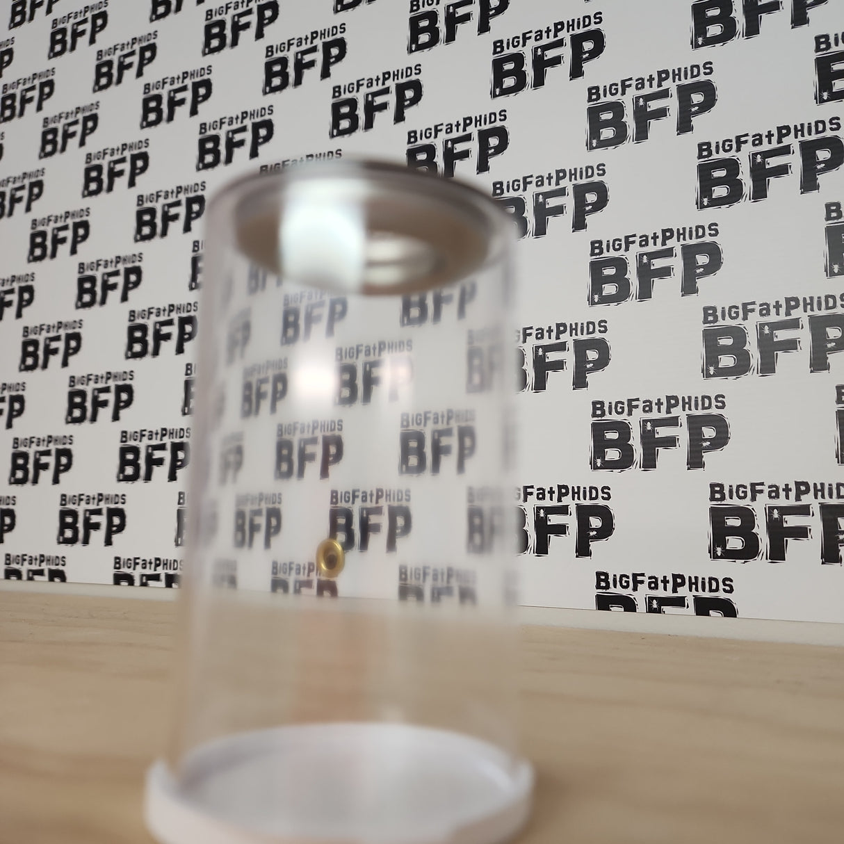 BFP Grow Cup 2x3.5" for small Jumping Spider slings (holds fruit flies)