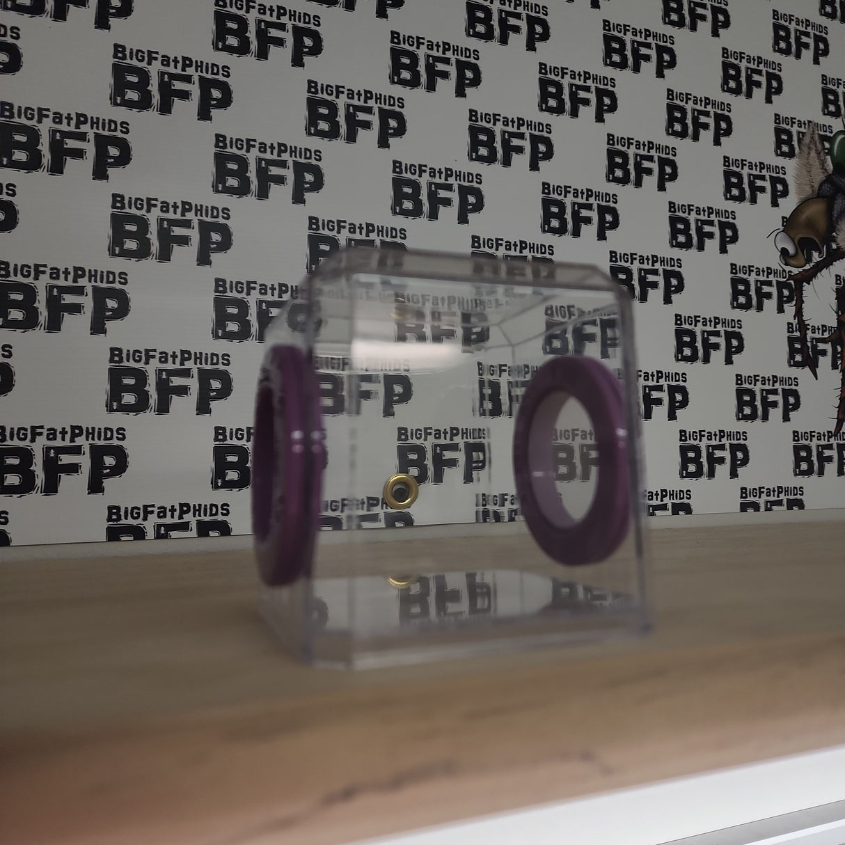 Mini Den Flat Top 3x3x3 Jumping Spider Enclosure (holds fruit flies)