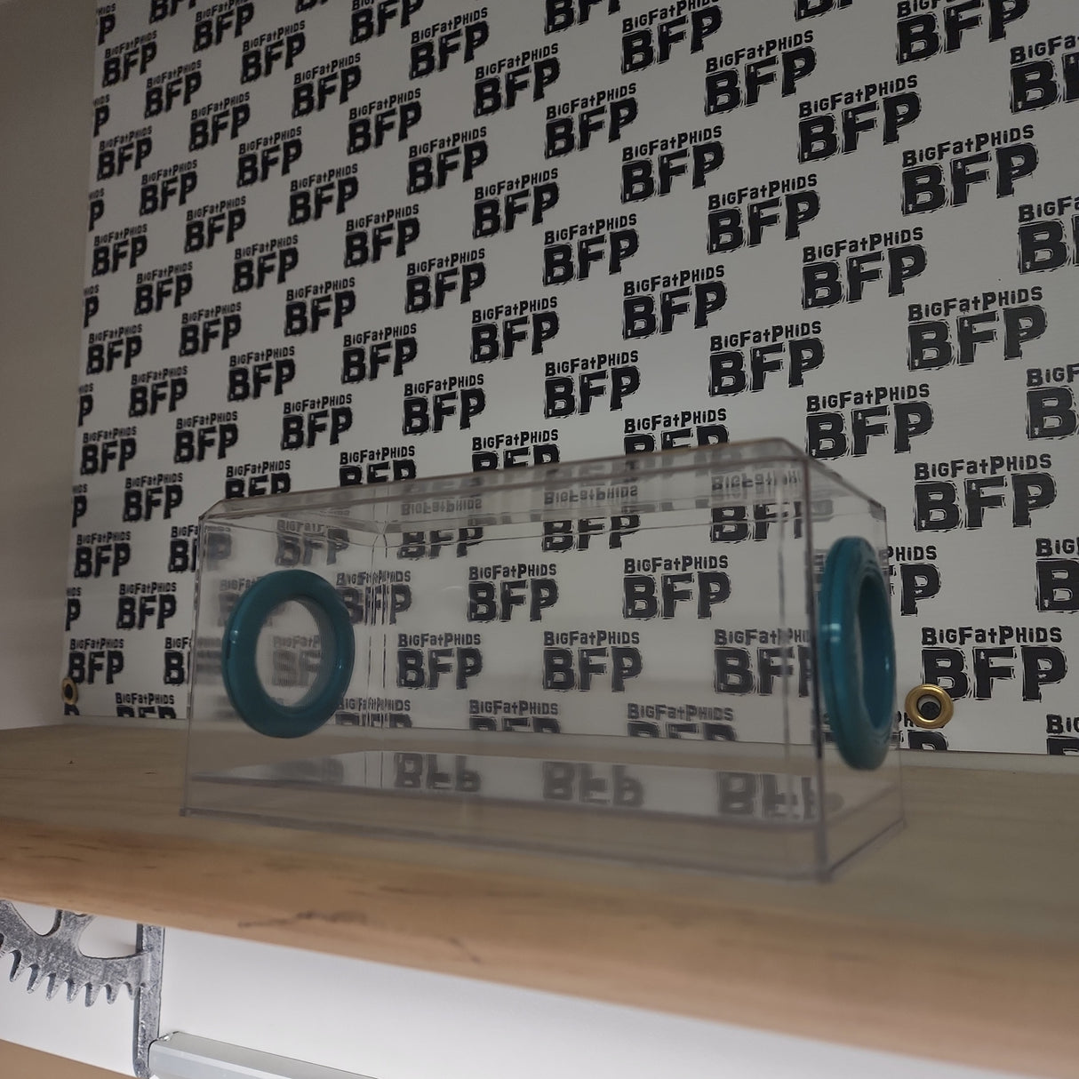 Phid Flat Sling Nursery Jumping Spider Enclosure 8.5x4x4(holds fruit flies)