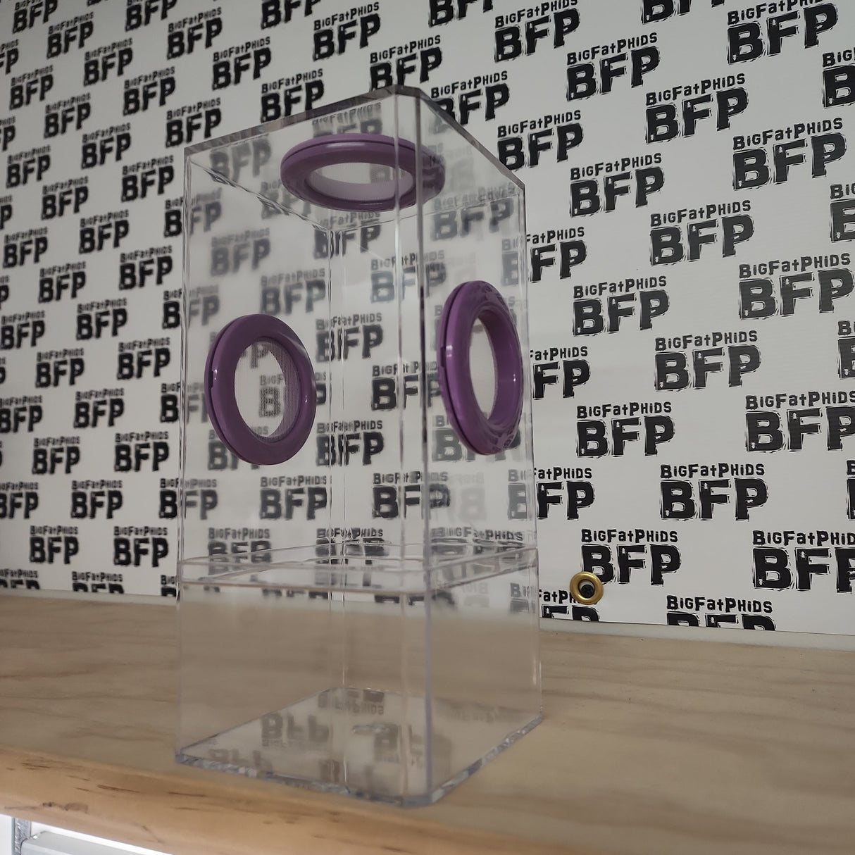 B-STOCK Flip Top Tri-Vent Spider Condo Jumping Spider Enclosure (holds Fruitflies)