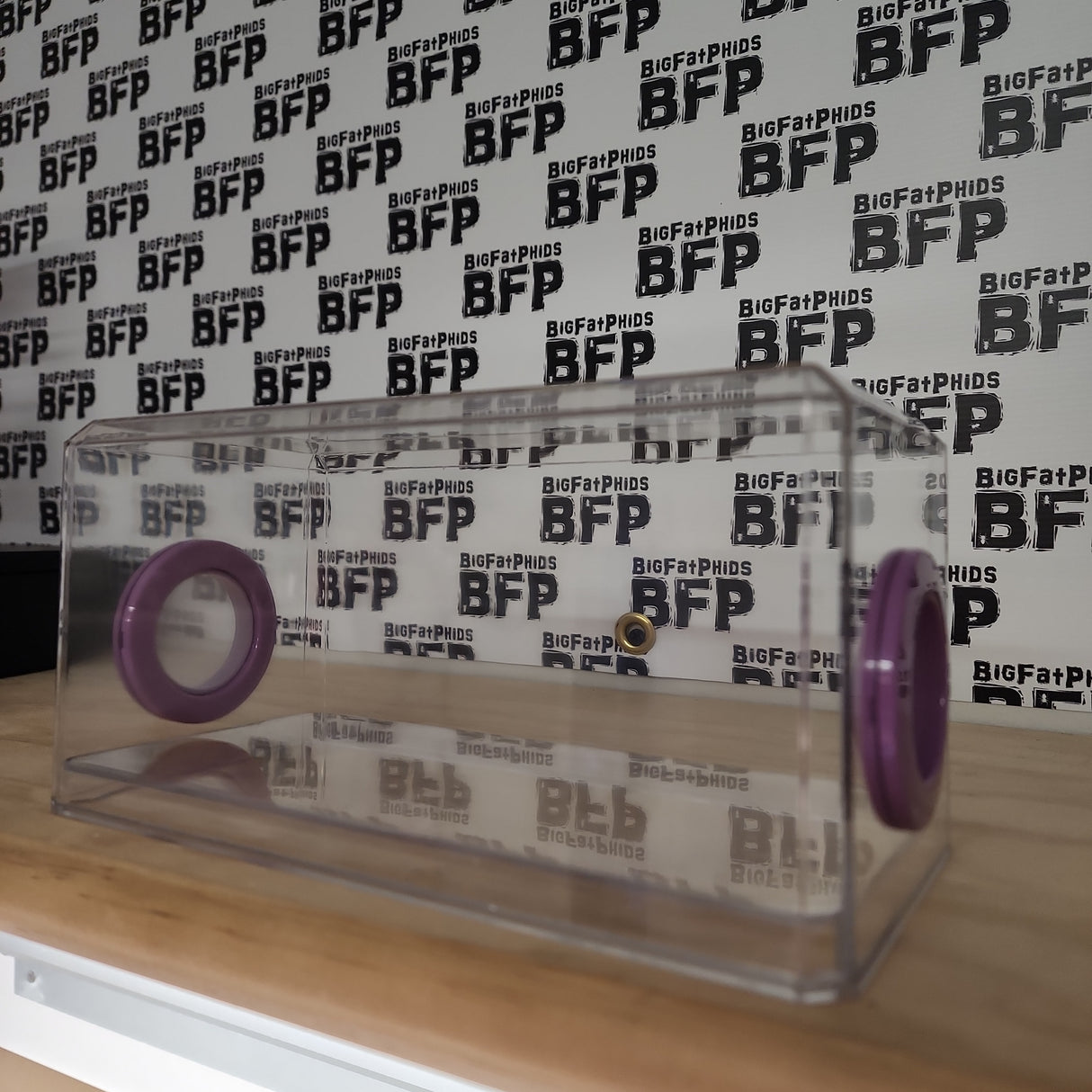 BFP Stinger Stackable Jumping Spider Sling Nursery(holds fruit flies.