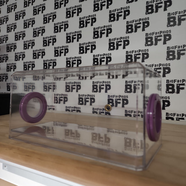 BFP Stinger Stackable Jumping Spider Sling Nursery(holds fruit flies.