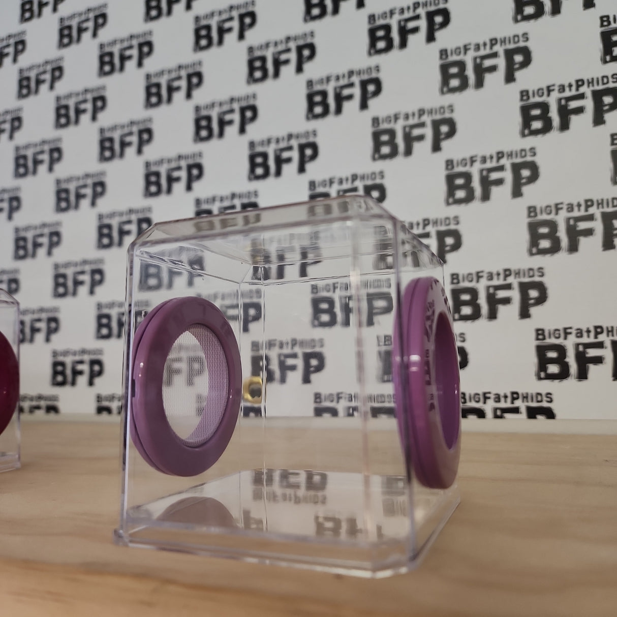 Mini Den Flat Top 3x3x3 Jumping Spider Enclosure (holds fruit flies)