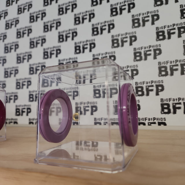 Mini Den Flat Top 3x3x3 Jumping Spider Enclosure (holds fruit flies)