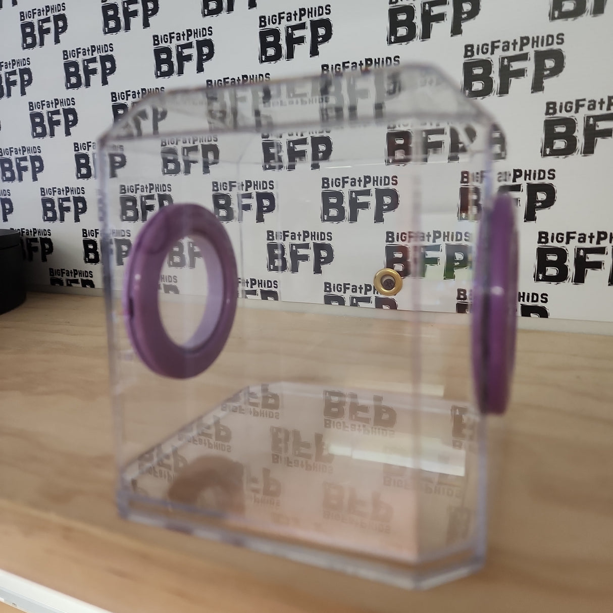 Den Flat Top 4x4x4 Jumping Spider Enclosure (holds fruit flies)