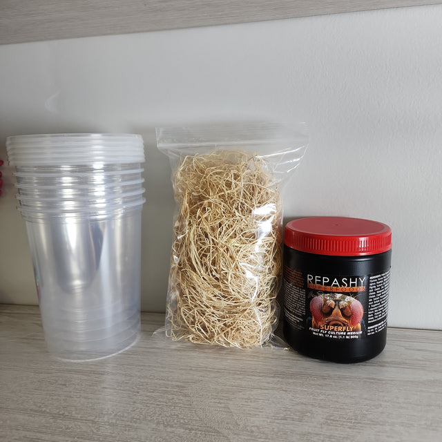 Fruit Fly Culture Kit — DIY 5-Culture Setup