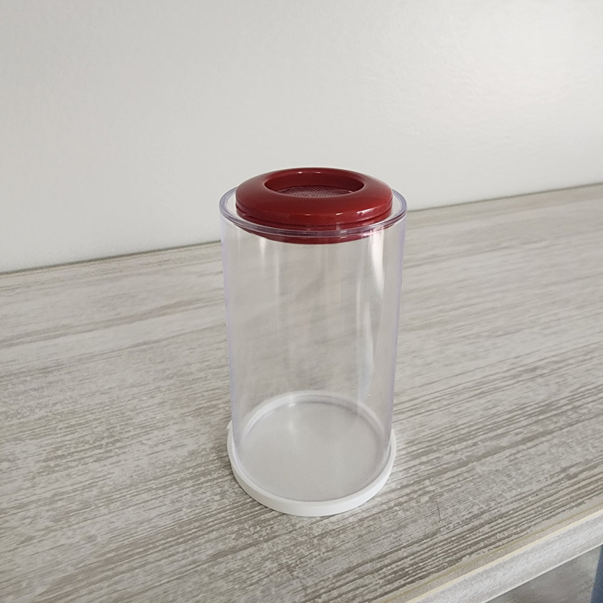 BFP Grow Cup 2x3.5" for small Jumping Spider slings (holds fruit flies)