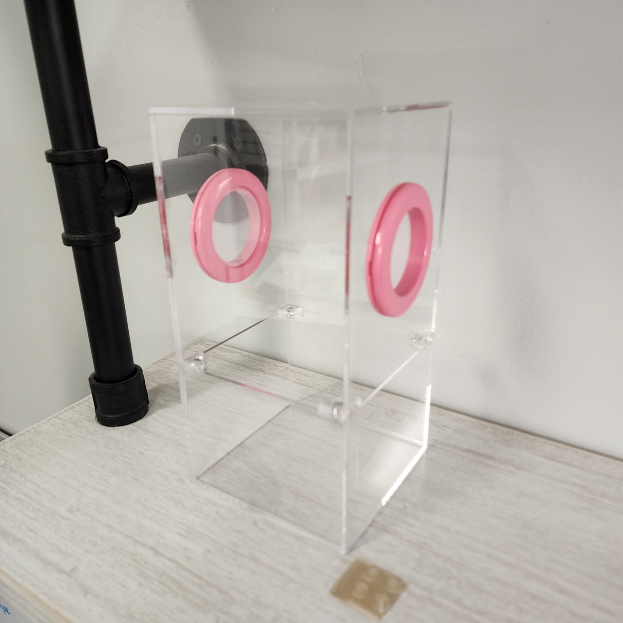 Medium Flat Top Magnetic 4x4x8 Jumping Spider Enclosure (holds fruit flies)