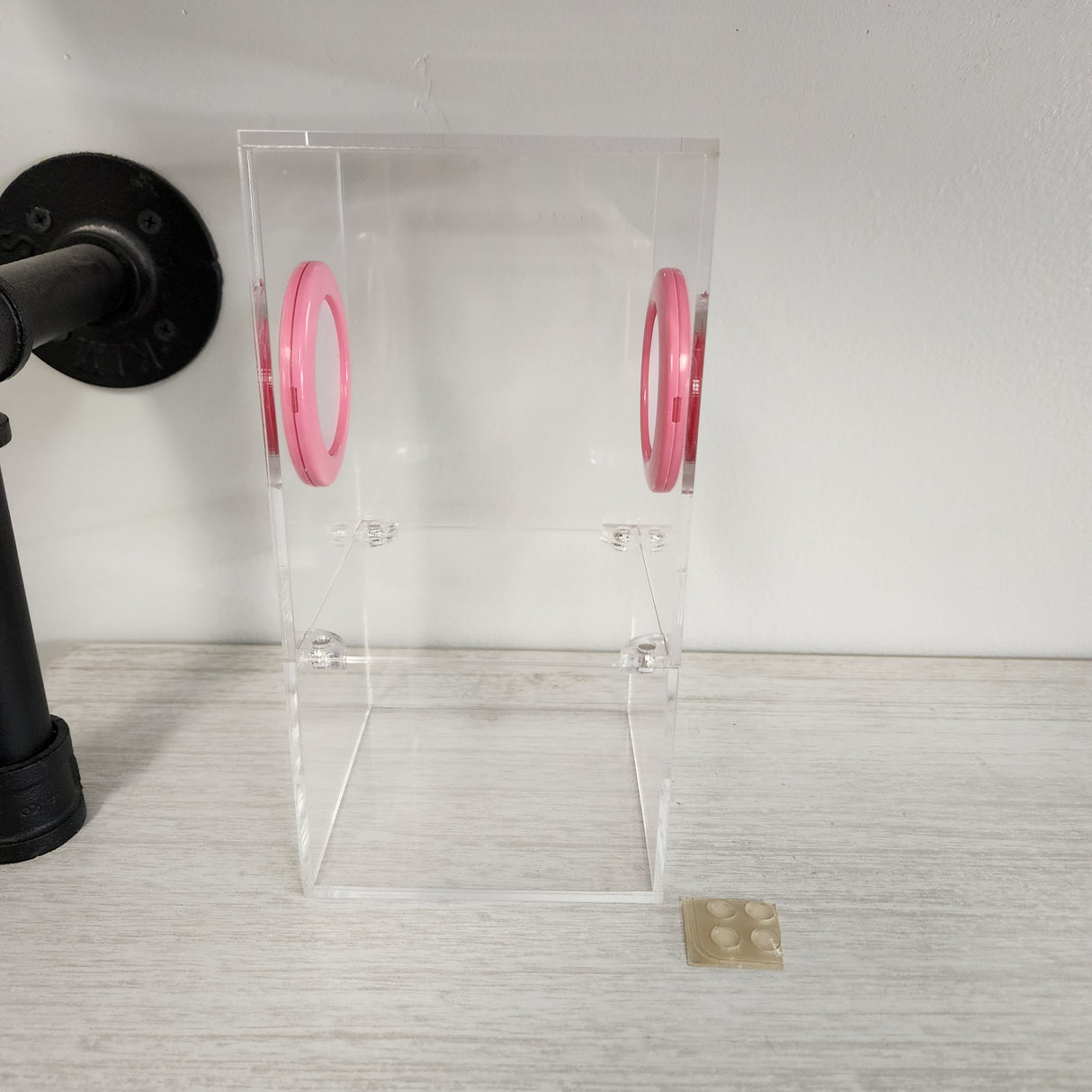 Medium Flat Top Magnetic 4x4x8 Jumping Spider Enclosure (holds fruit flies)