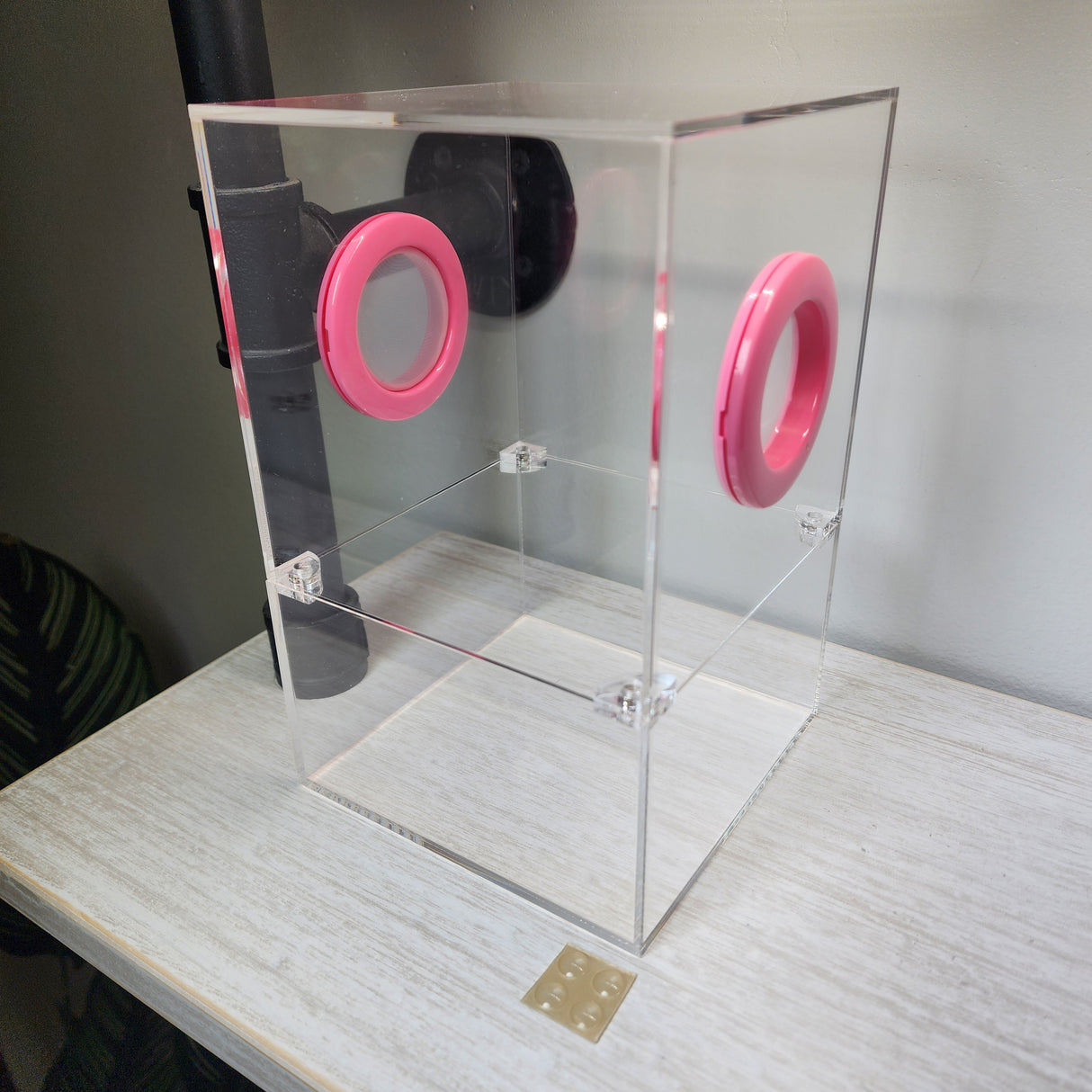 Large Flat Top Magnetic 5x5x8 Jumping Spider Enclosure (holds fruit flies)