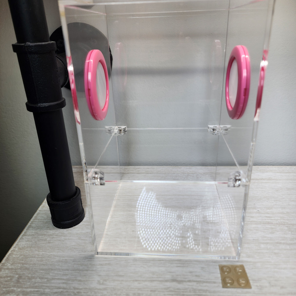 Large Flat Top Magnetic 5x5x8 Jumping Spider Enclosure (holds fruit flies)