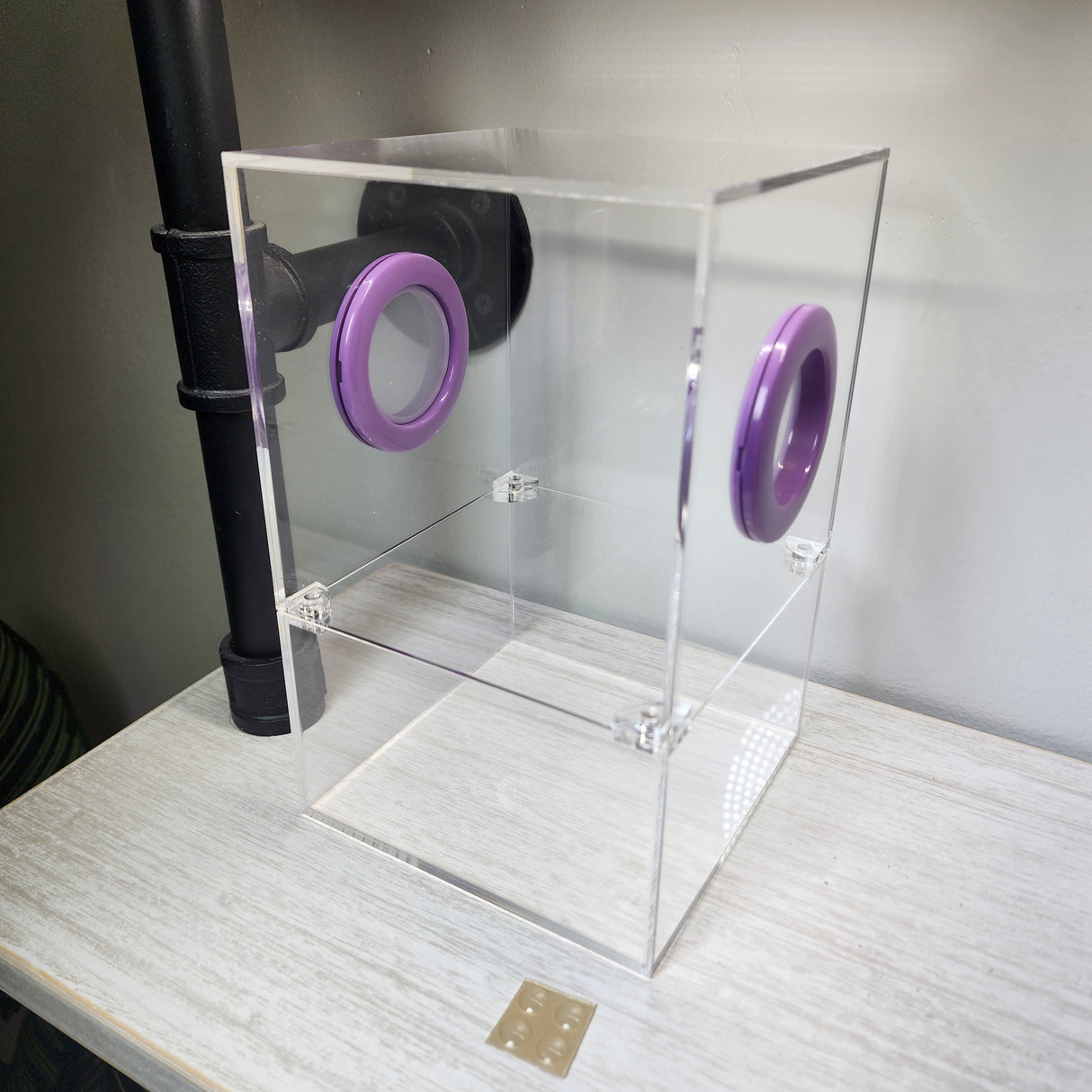 Large Flat Top Magnetic 5x5x8 Jumping Spider Enclosure (holds fruit flies)