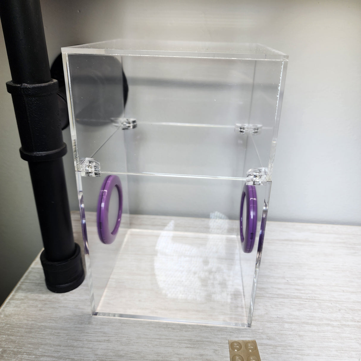 Large Flat Top Magnetic 5x5x8 Jumping Spider Enclosure (holds fruit flies)