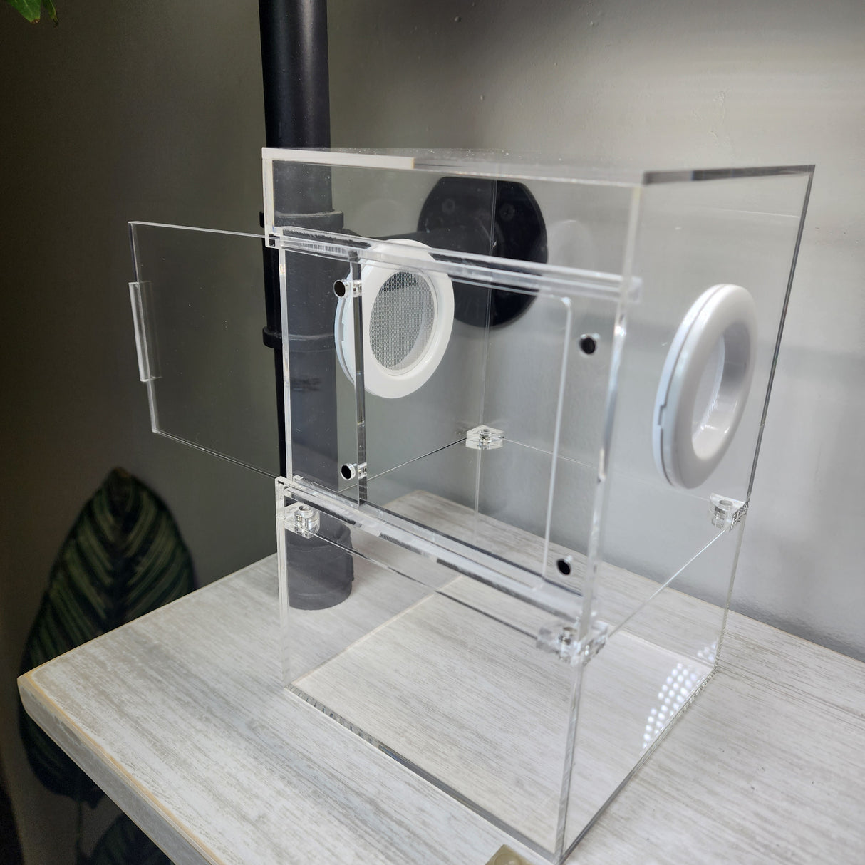 Large Flat Top Magnetic 5x5x8 Front Opening Jumping Spider Enclosure