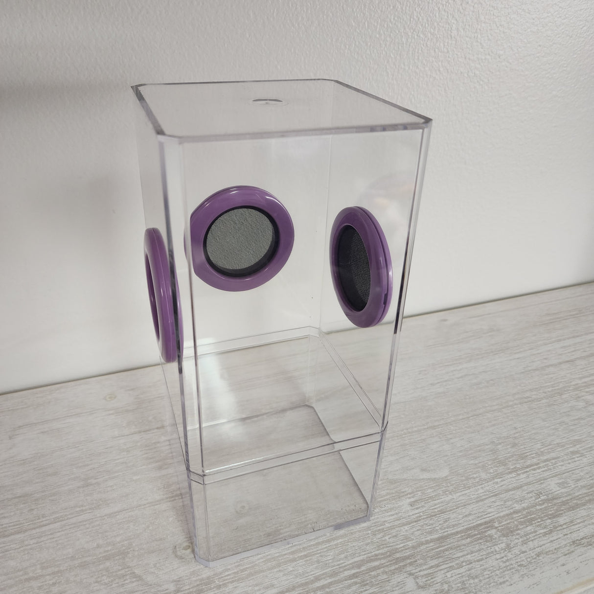 This is a Flat Top Tri Vent Spider Condo. It has 3 vents and features a leak-proof design that will keep the small slings and fruit flies inside where they belong.