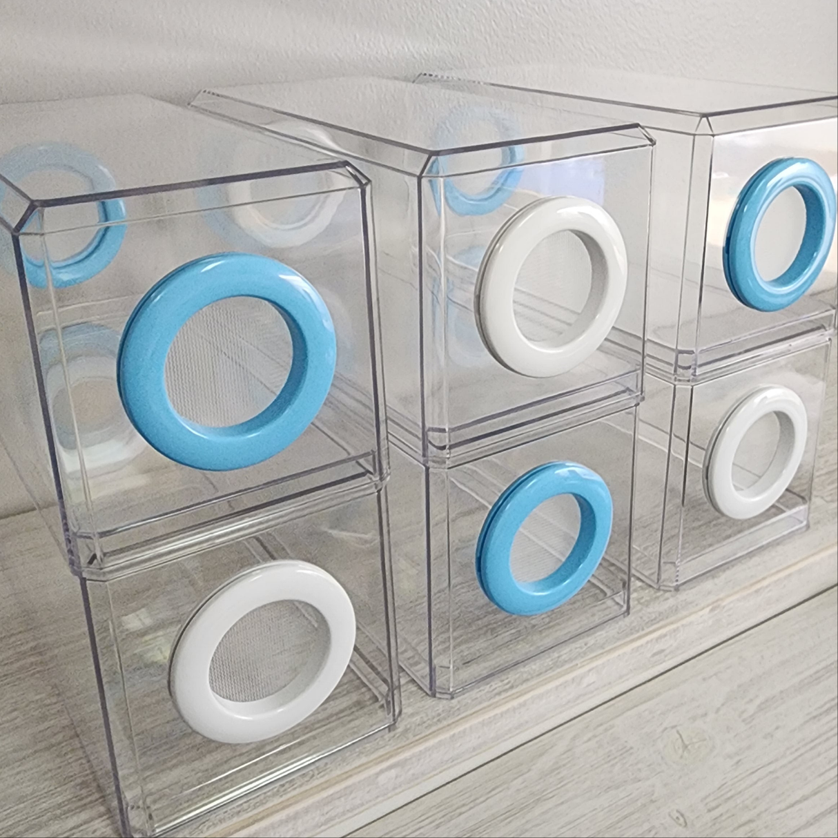 Phid Flat Sling Nursery Jumping Spider Enclosure 8.5x4x4(holds fruit flies)