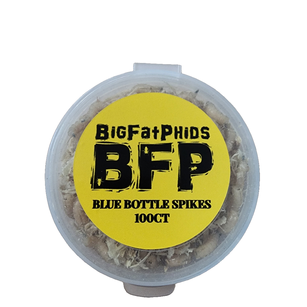 Blue Bottle Spikes 100 Pack Includes 6 Ice Brix