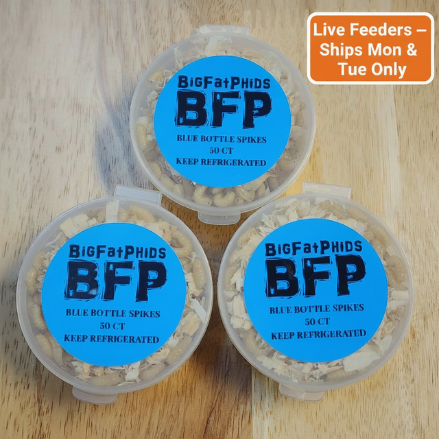 Blue Bottle Spikes 50 Pack ā Red Badge