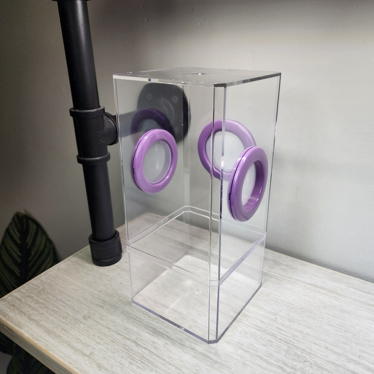 B-STOCK Flat Top Tri Vent Spider Condo Jumping Spider Enclosure (holds fruit flies)