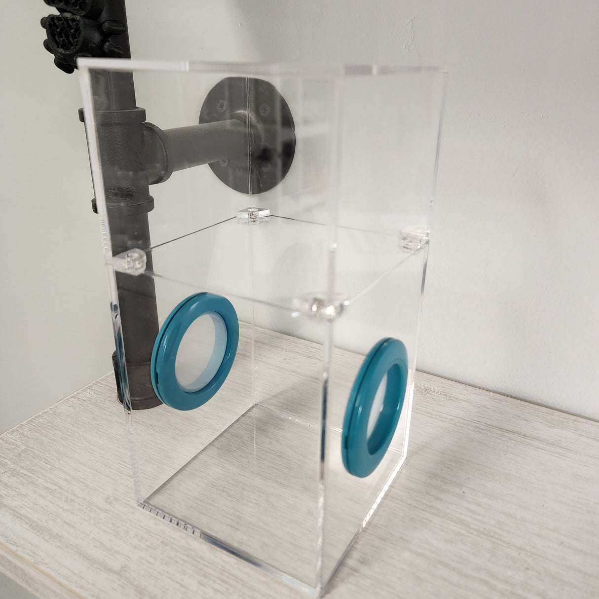 Medium Flat Top Magnetic 4x4x8 Jumping Spider Enclosure (holds fruit flies)