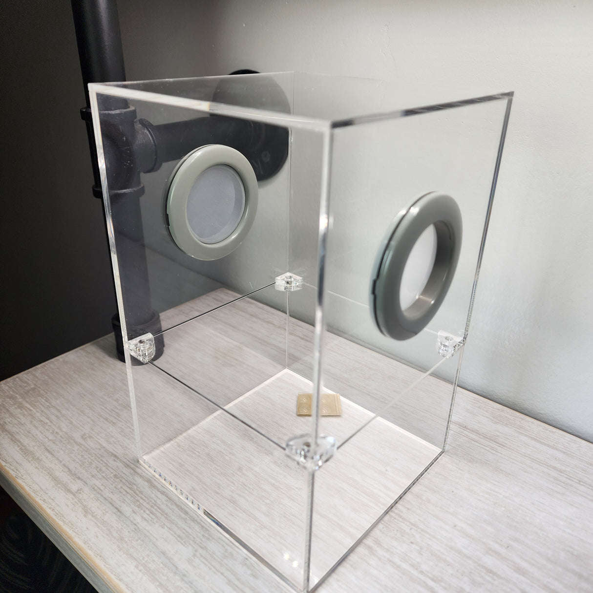 Large Flat Top Magnetic 5x5x8 Jumping Spider Enclosure (holds fruit flies)