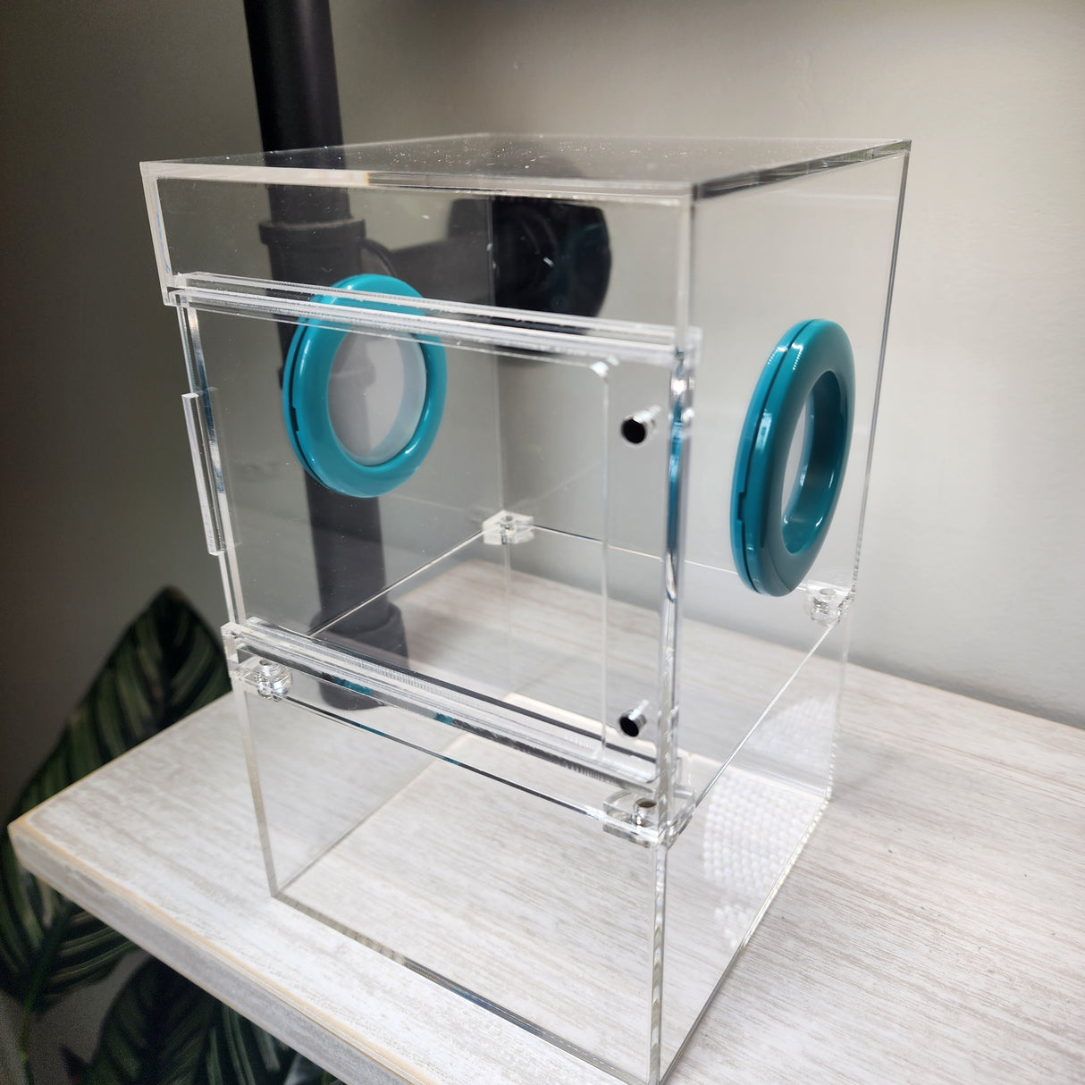 Large Flat Top Magnetic 5x5x8 Front Opening Jumping Spider Enclosure