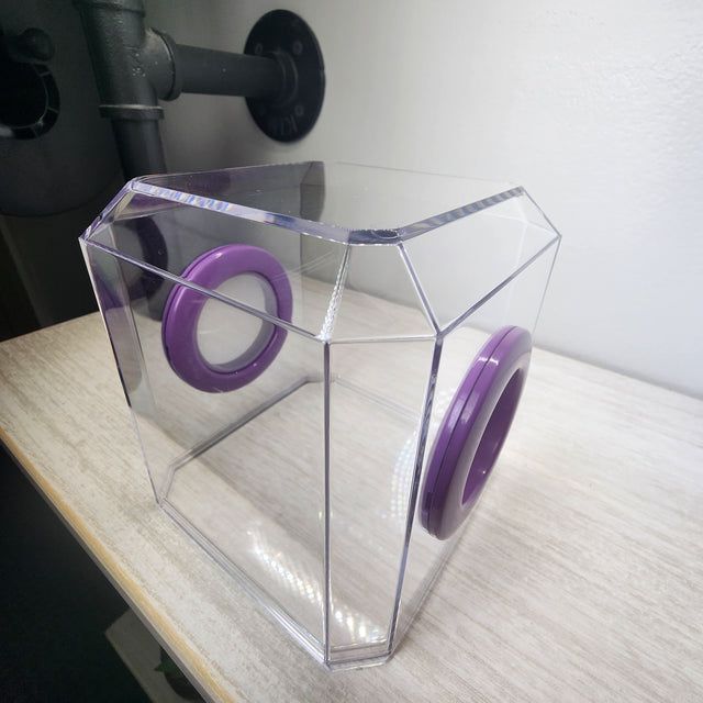 Den Flat Top 4x4x4 Jumping Spider Enclosure (holds fruit flies)