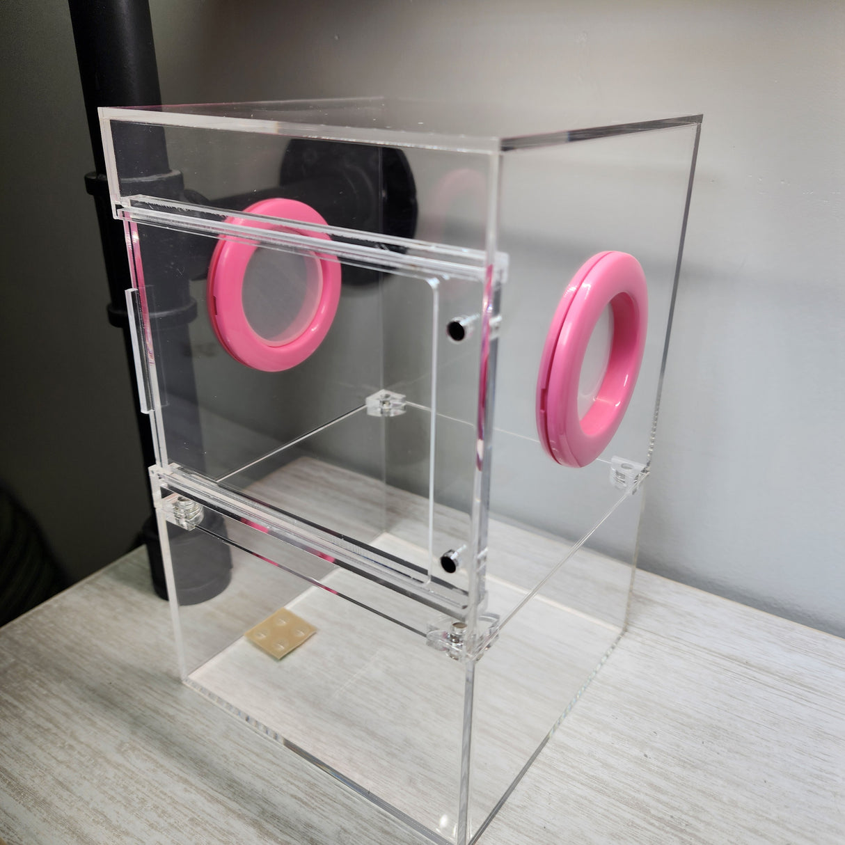 Large Flat Top Magnetic 5x5x8 Front Opening Jumping Spider Enclosure