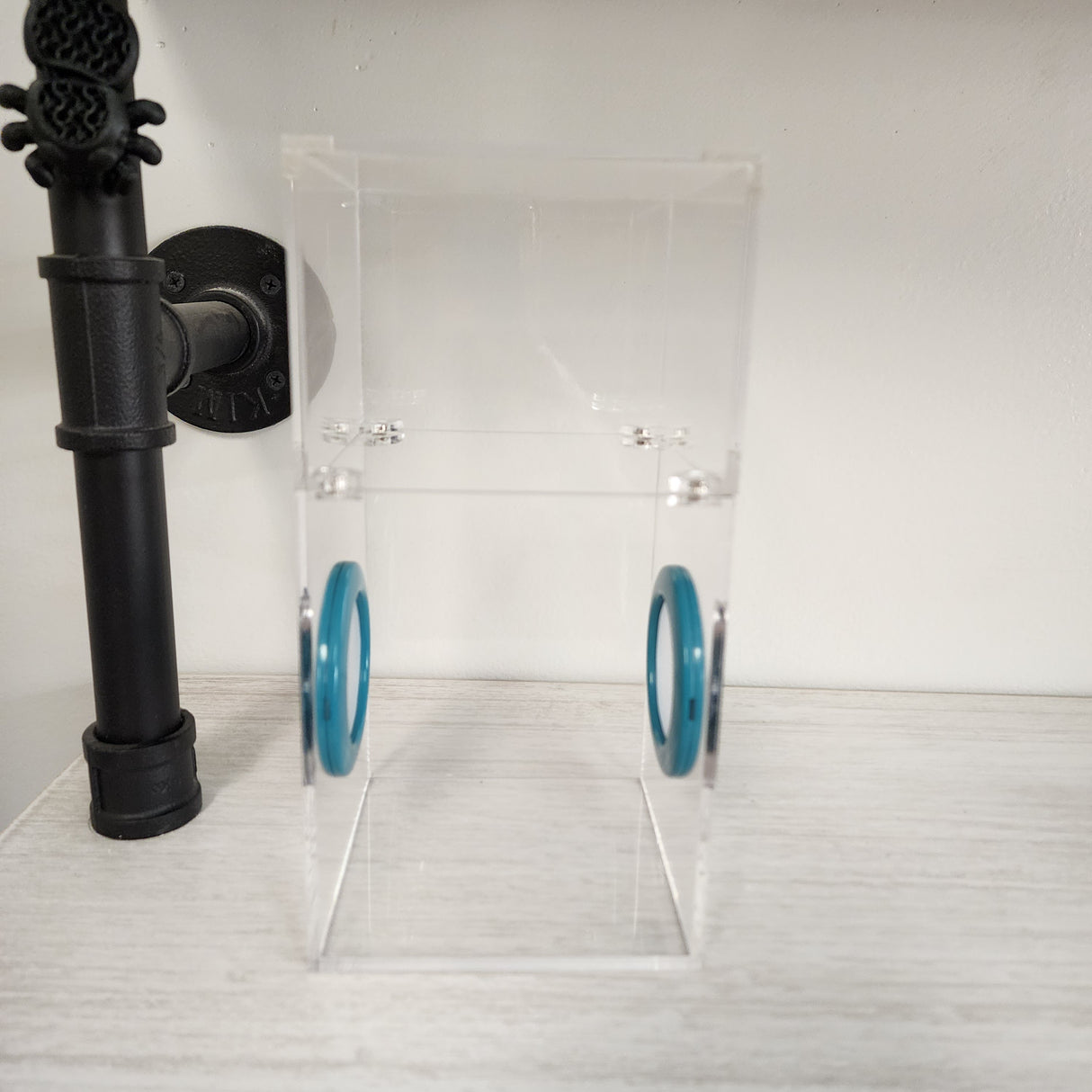 Medium Flat Top Magnetic 4x4x8 Jumping Spider Enclosure (holds fruit flies)