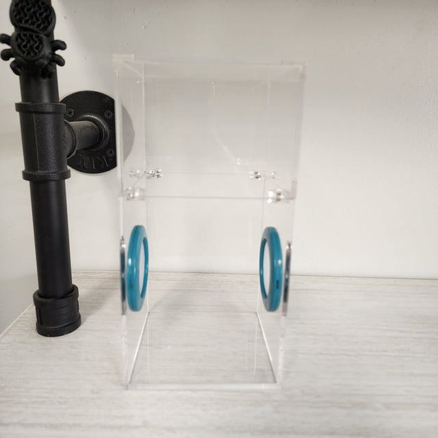 Medium Flat Top Magnetic 4x4x8 Jumping Spider Enclosure (holds fruit flies)