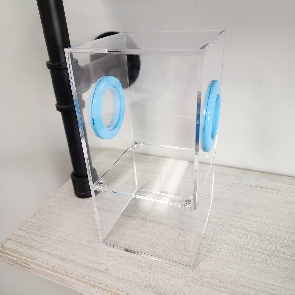 Medium Flat Top Magnetic 4x4x8 Jumping Spider Enclosure (holds fruit flies)