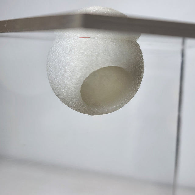 Textured Disco Ball Hide - Magnetic Spider Hide for Jumping Spiders