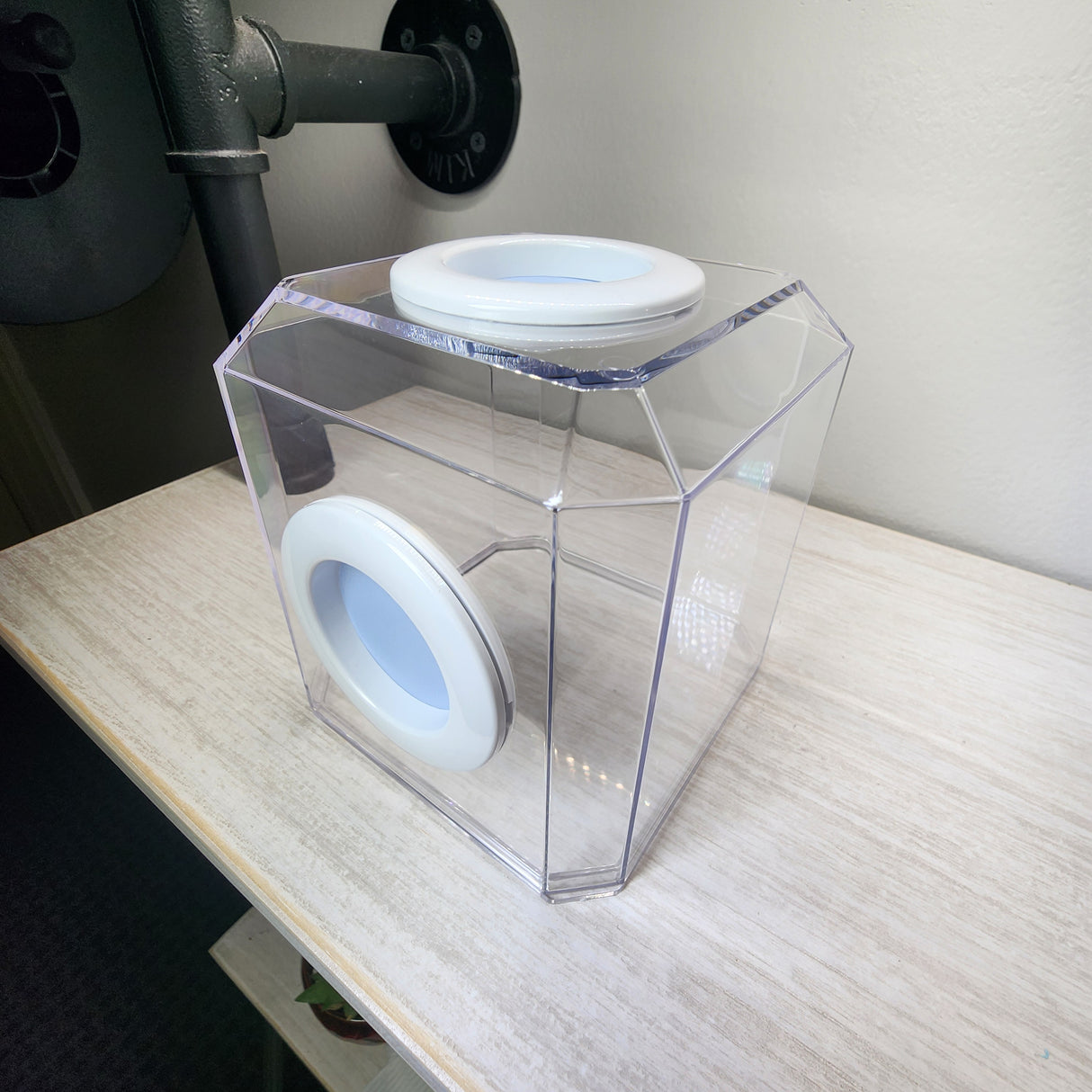 Den Dual Vent 4x4x4 Jumping Spider Enclosure(holds fruit flies)