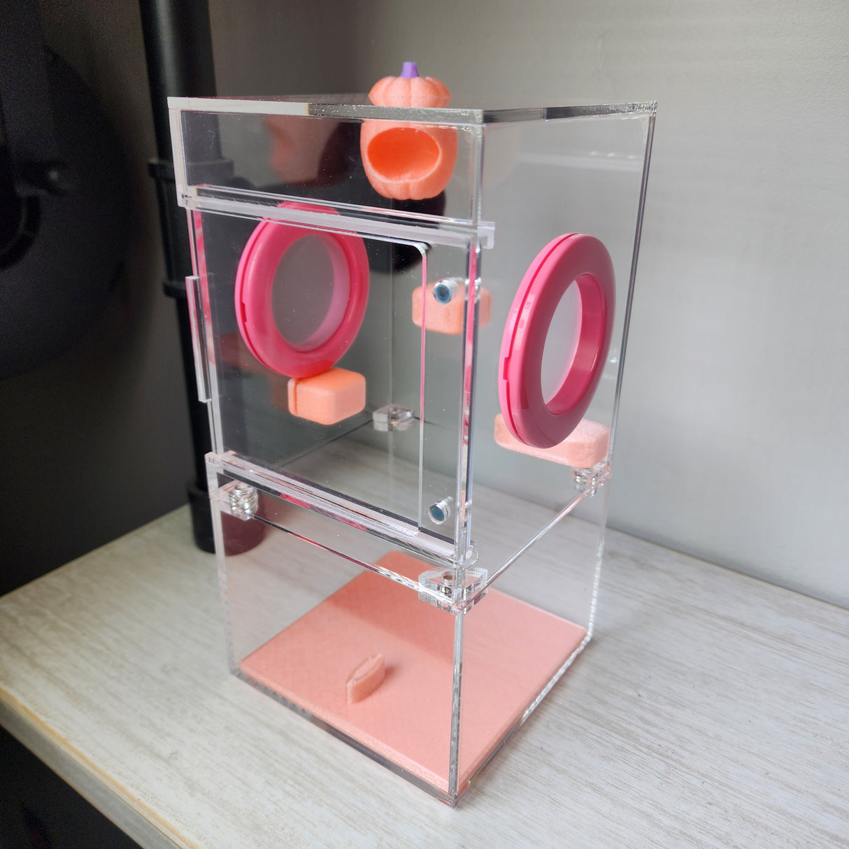 Medium Flat Top 4x4x8 Magnetic Front Opening Jumping Spider Enclosure NEW