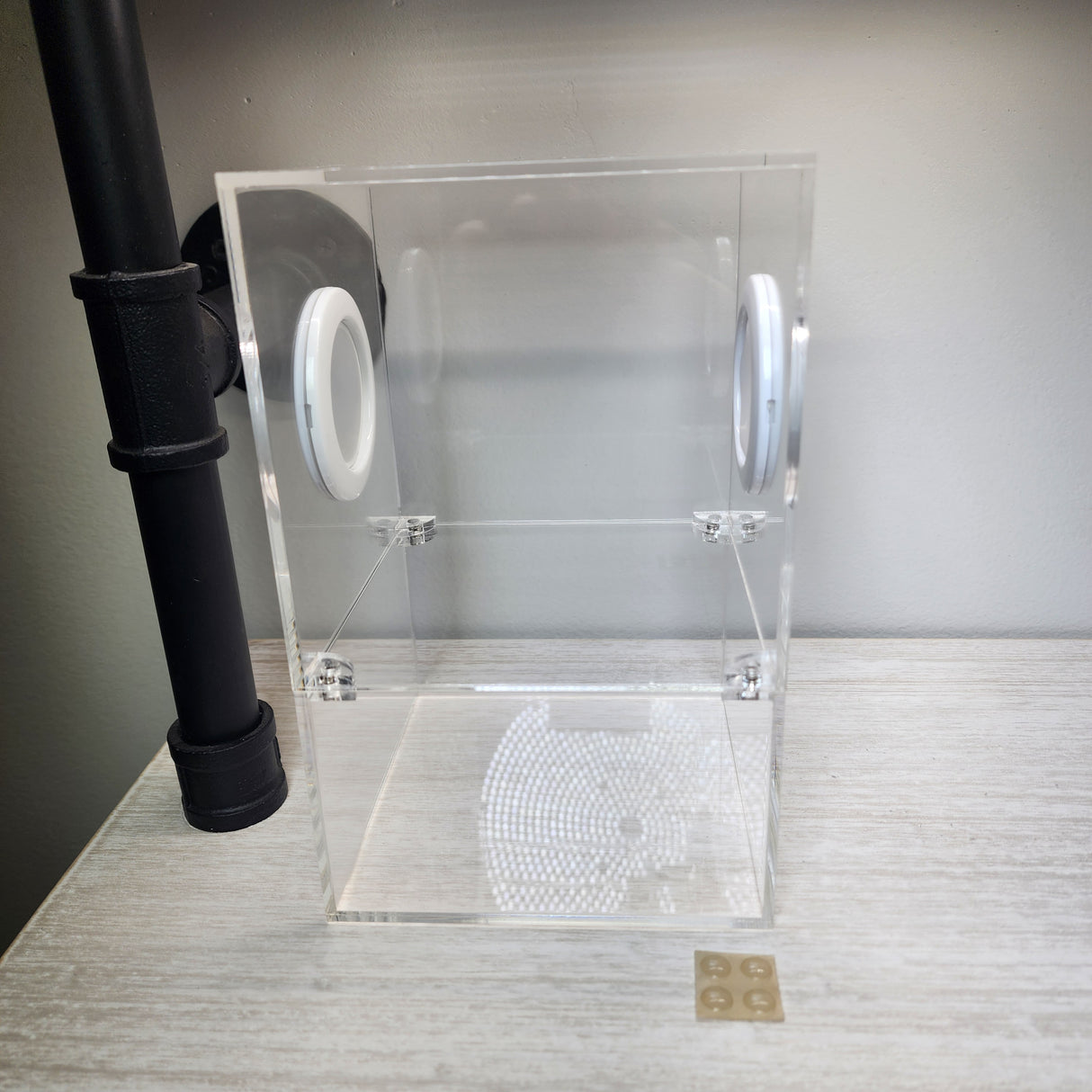 Large Flat Top Magnetic 5x5x8 Jumping Spider Enclosure (holds fruit flies)