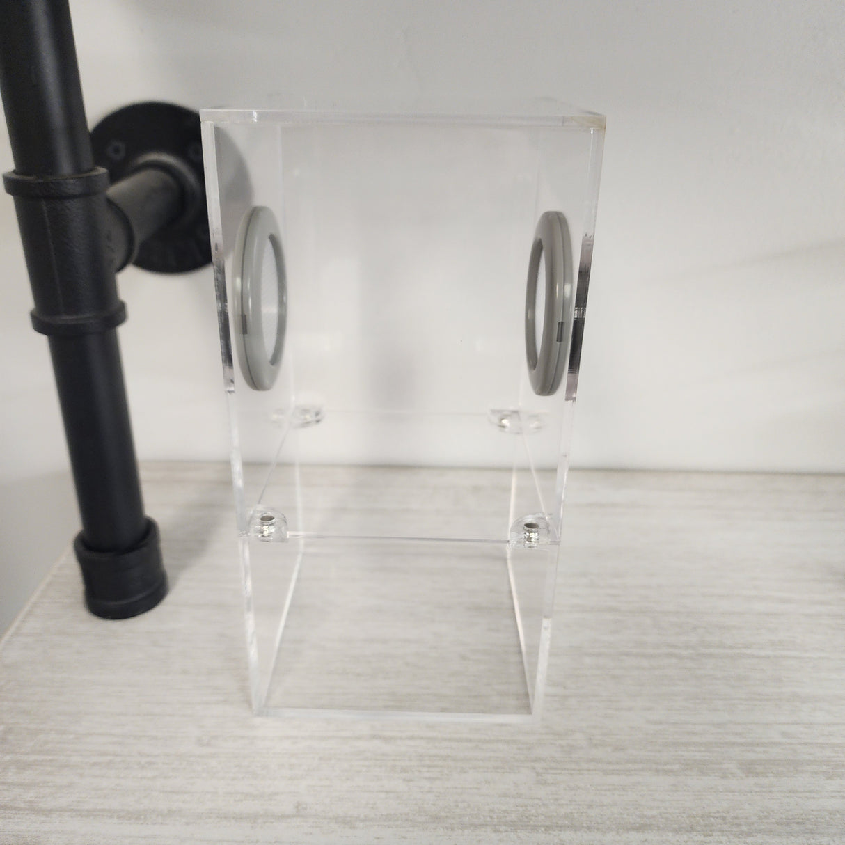 Medium Flat Top Magnetic 4x4x8 Jumping Spider Enclosure (holds fruit flies)