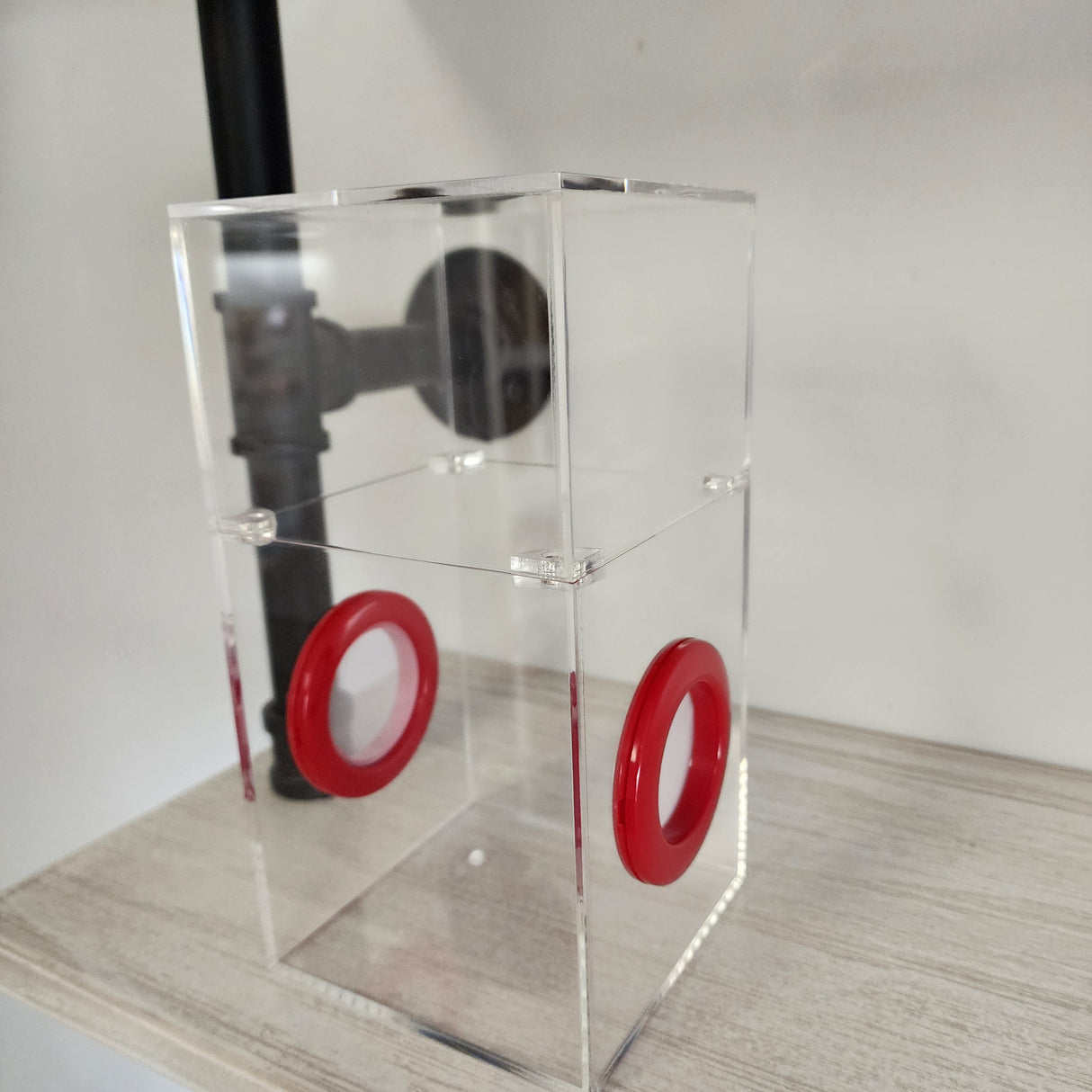 Medium Flat Top Magnetic 4x4x8 Jumping Spider Enclosure (holds fruit flies)