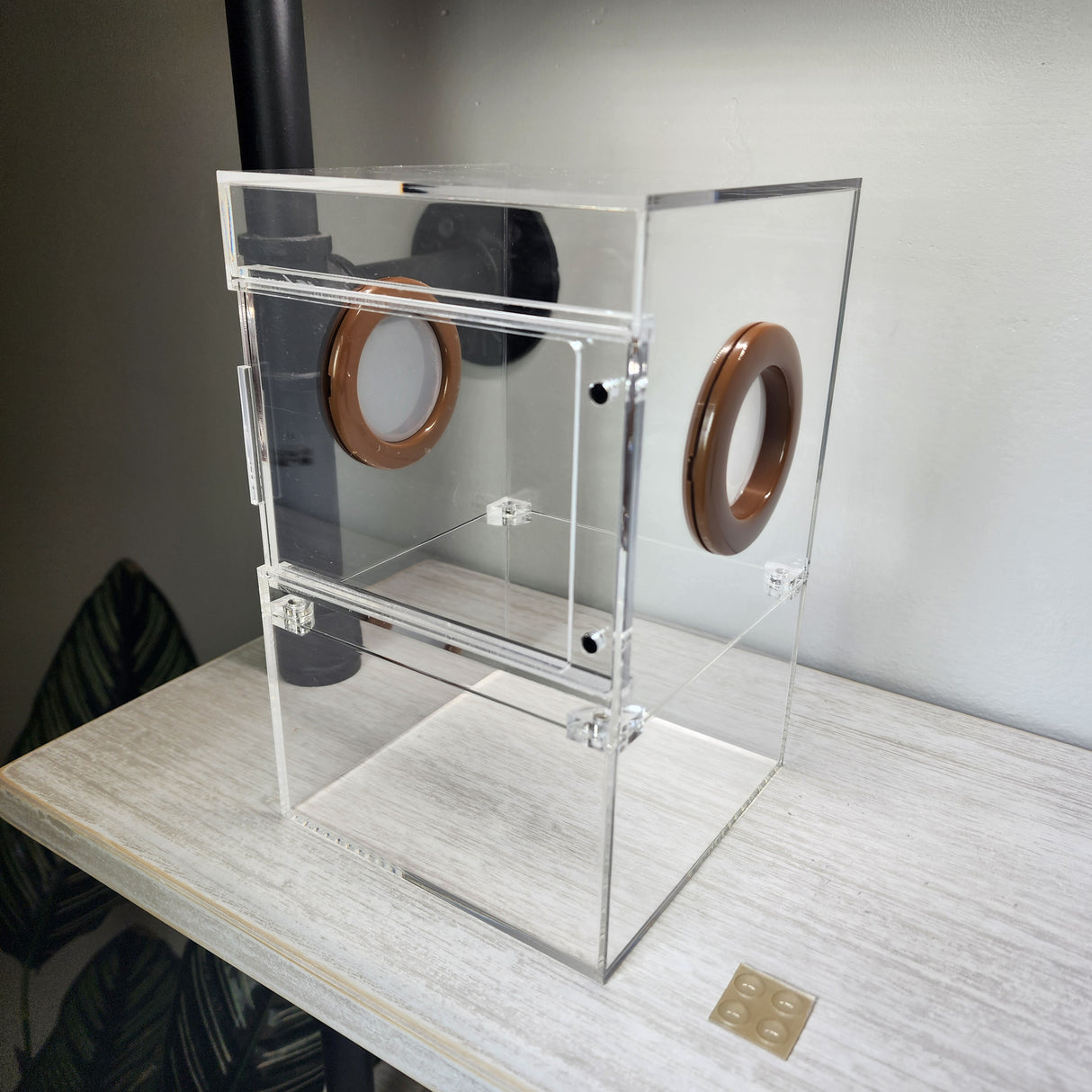 Large Flat Top Magnetic 5x5x8 Front Opening Jumping Spider Enclosure