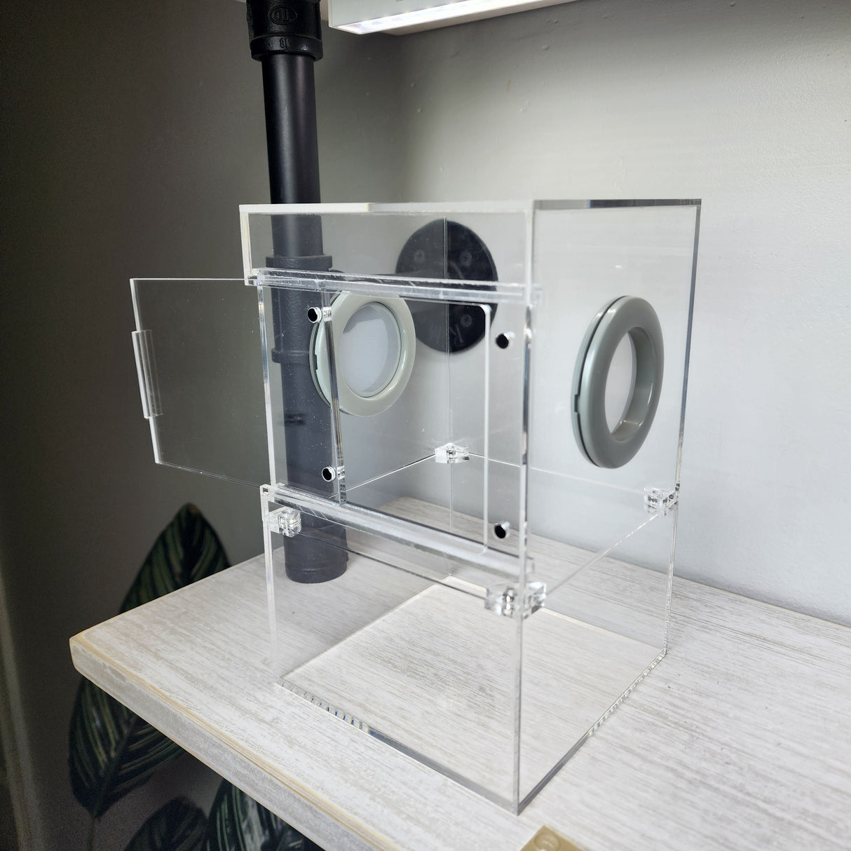 Large Flat Top Magnetic 5x5x8 Front Opening Jumping Spider Enclosure