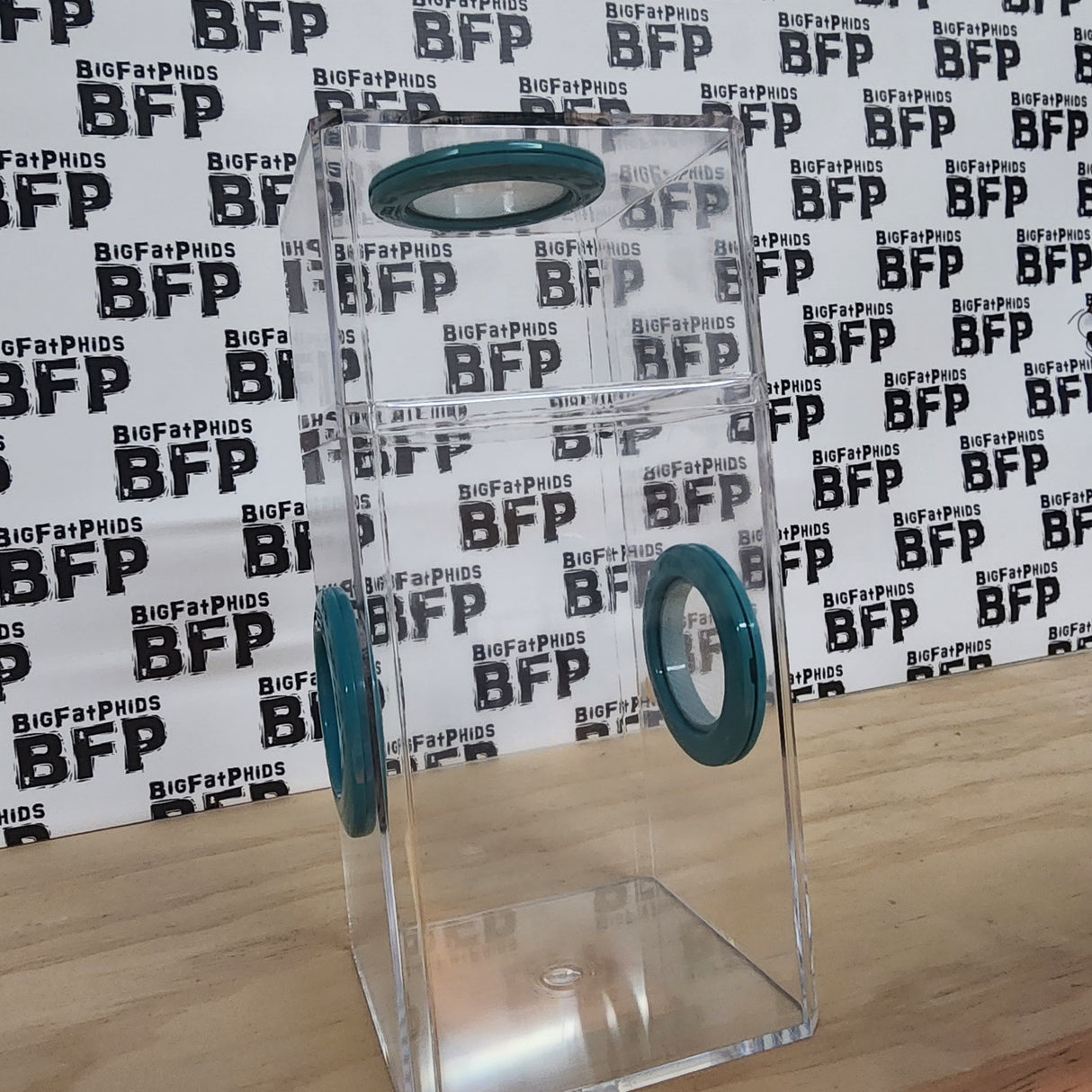 B-STOCK Classic Tri-Vent Spider Condo Jumping Spider Enclosure (holds fruit flies)