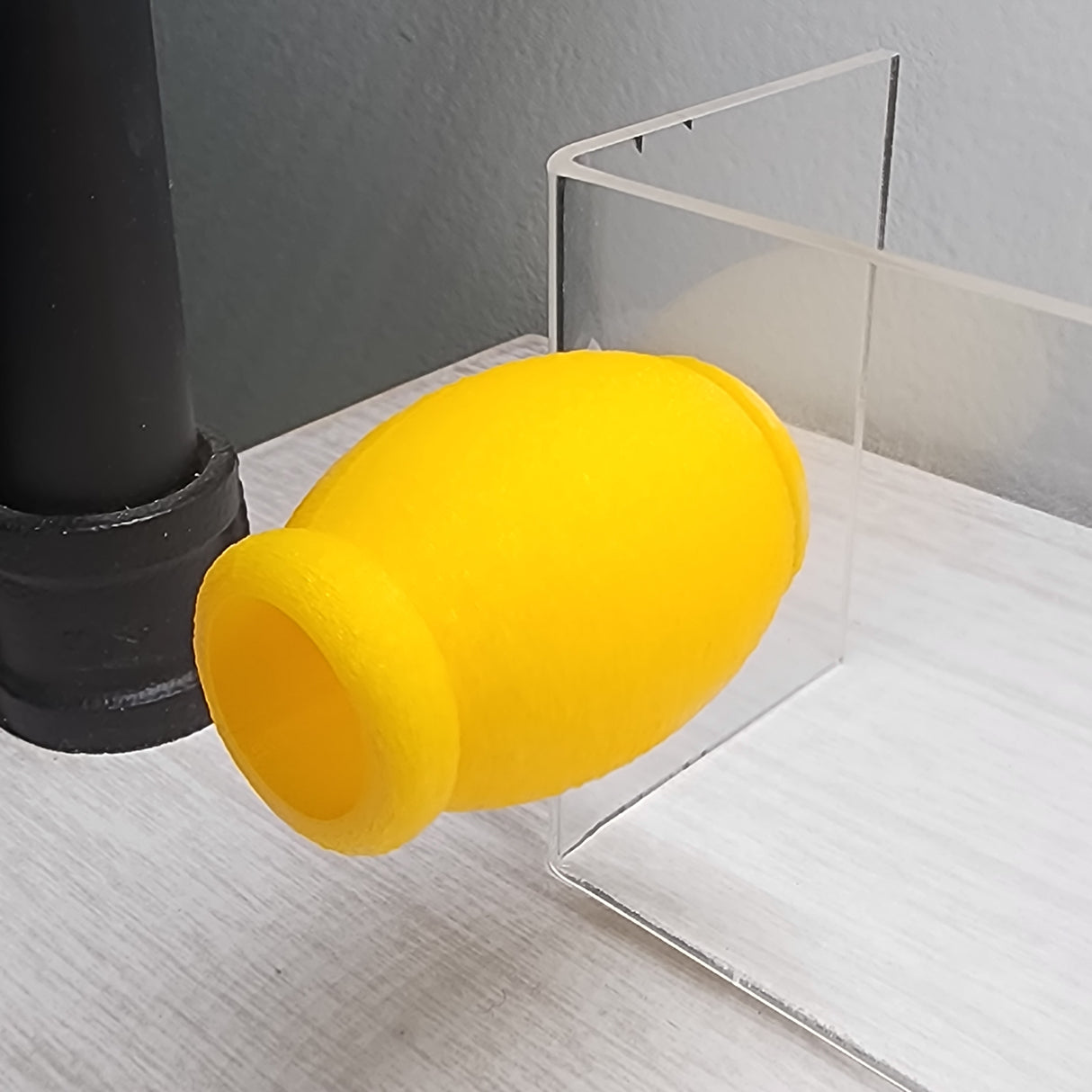 Fuzzy Bumble Jumping Spider HIdes in 2 sizes and several colors