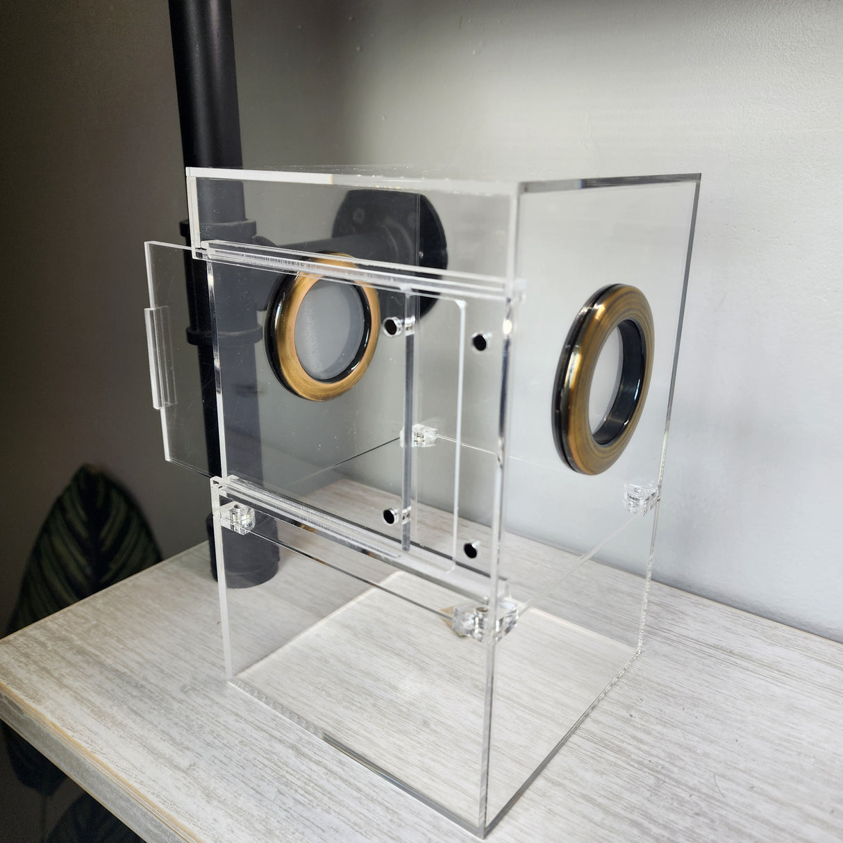 Large Flat Top Magnetic 5x5x8 Front Opening Jumping Spider Enclosure