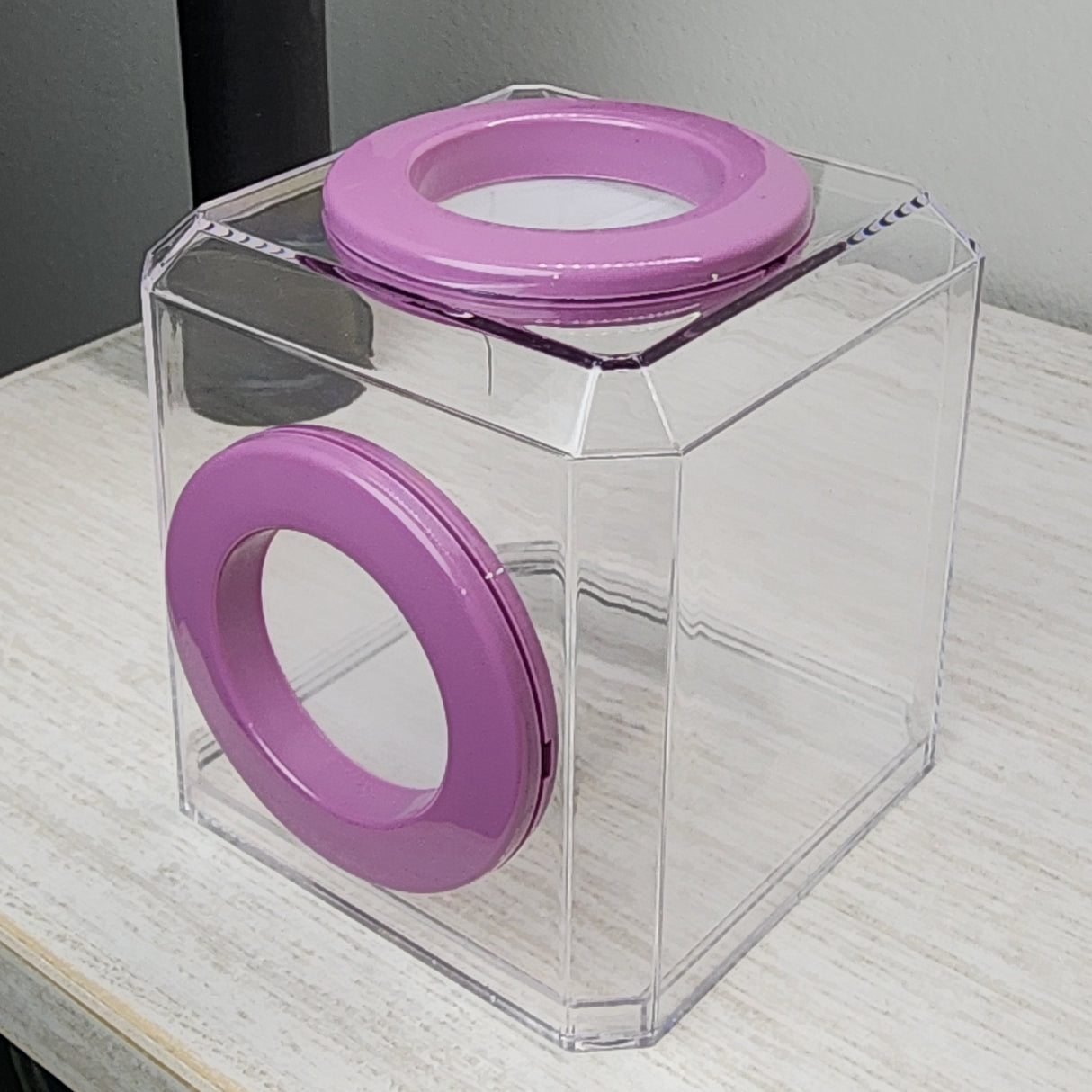 Mini Den Dual Vent 3x3x3 Jumping Spider Enclosure (holds fruit flies)