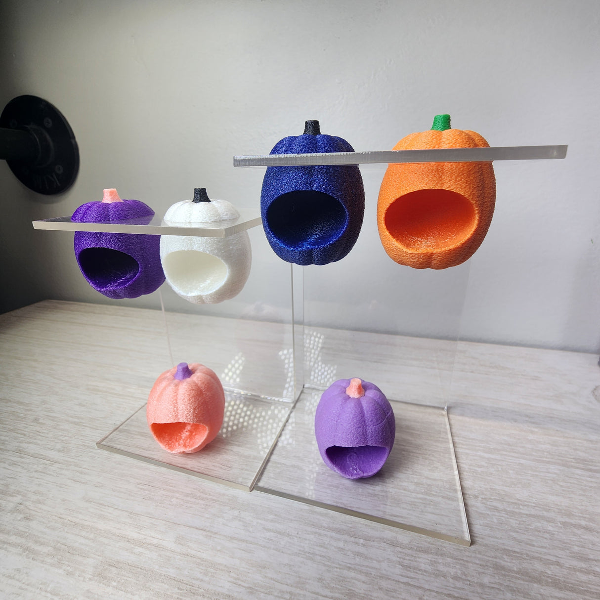 Baby Pumpkin Nesting Hides for Jumping Spiders