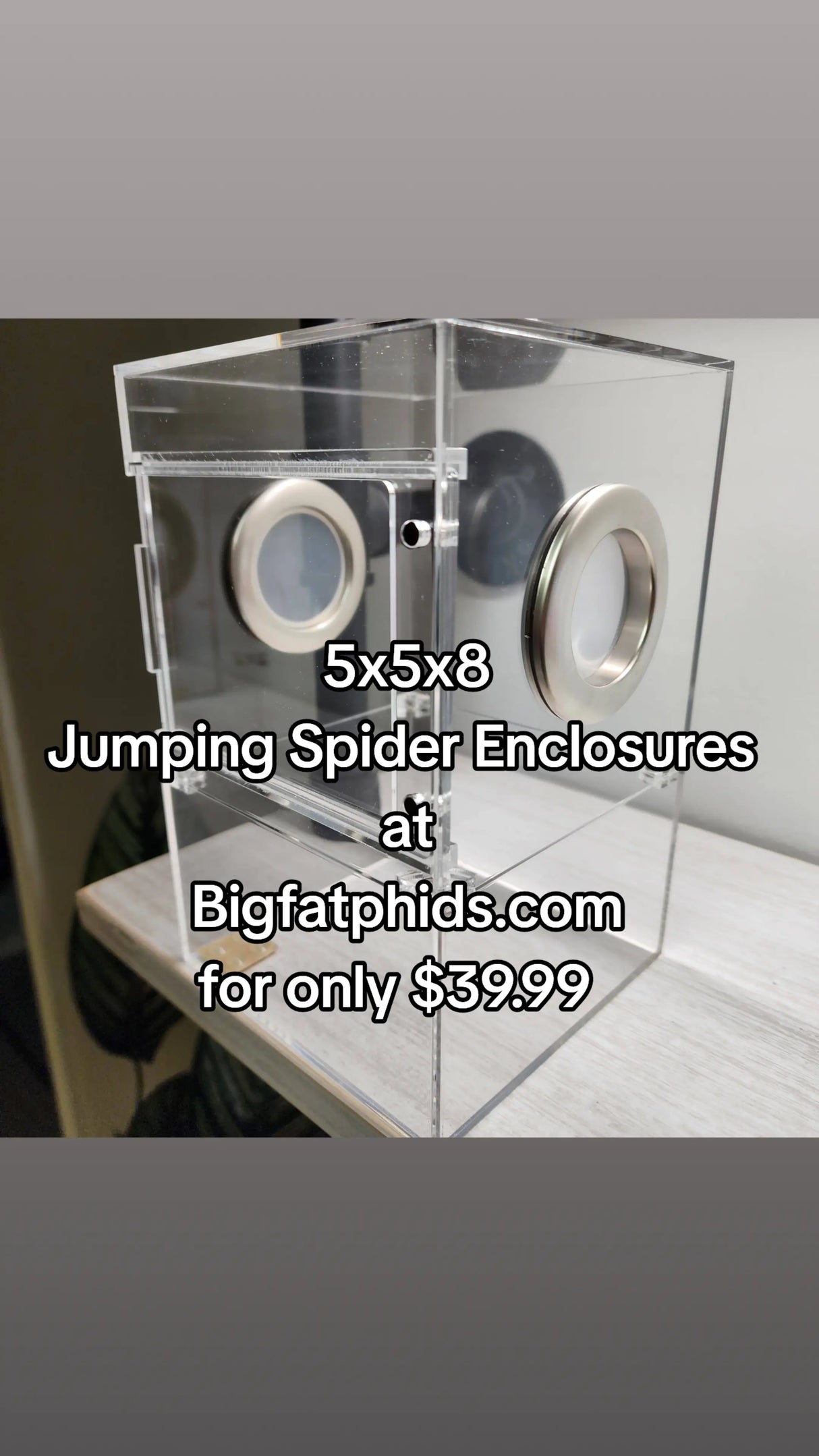Large Flat Top Magnetic 5x5x8 Front Opening Jumping Spider Enclosure