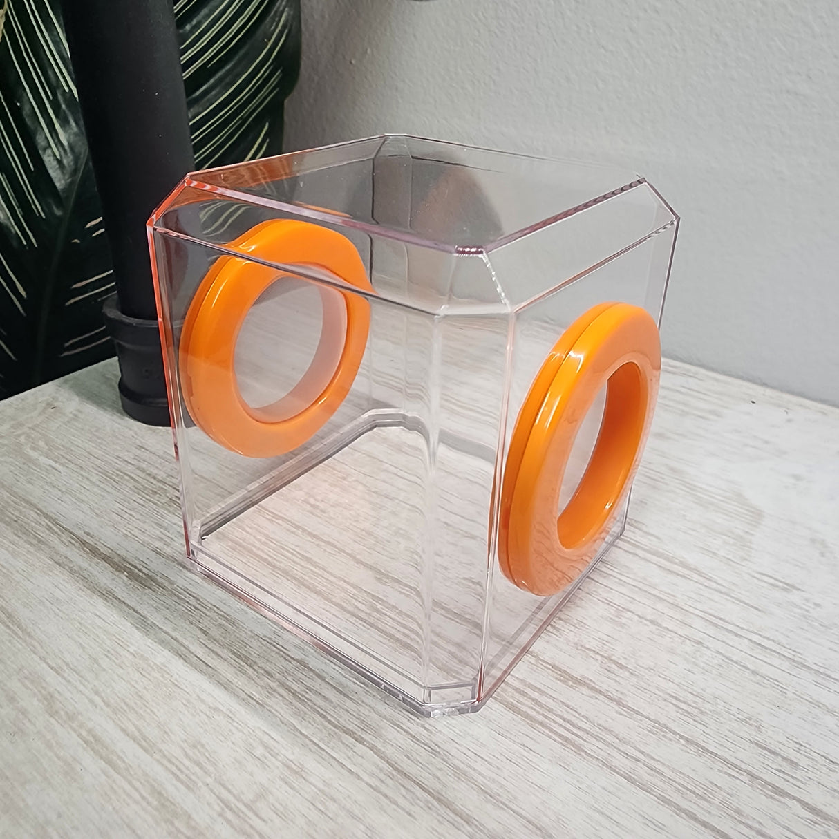 Mini Den Flat Top 3x3x3 Jumping Spider Enclosure (holds fruit flies)