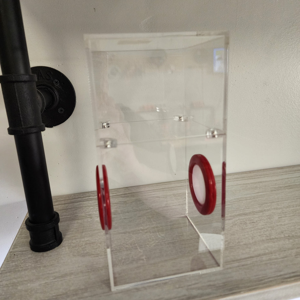 Medium Flat Top Magnetic 4x4x8 Jumping Spider Enclosure (holds fruit flies)