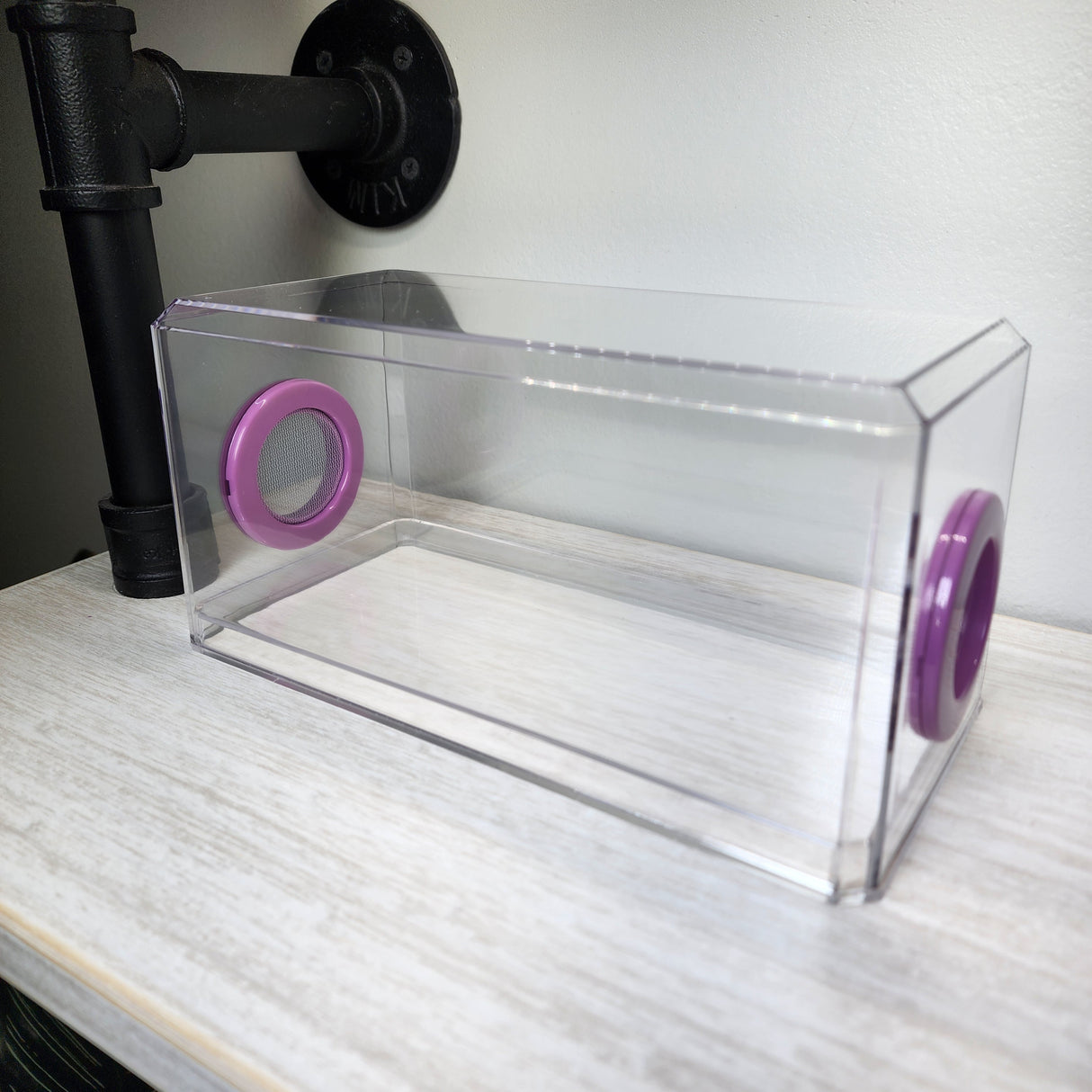 BFP Stinger Stackable Jumping Spider Sling Nursery(holds fruit flies.